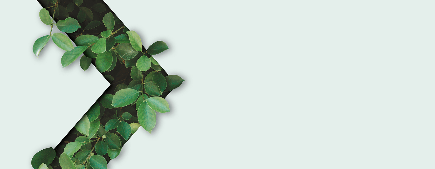 Natural green leaves background