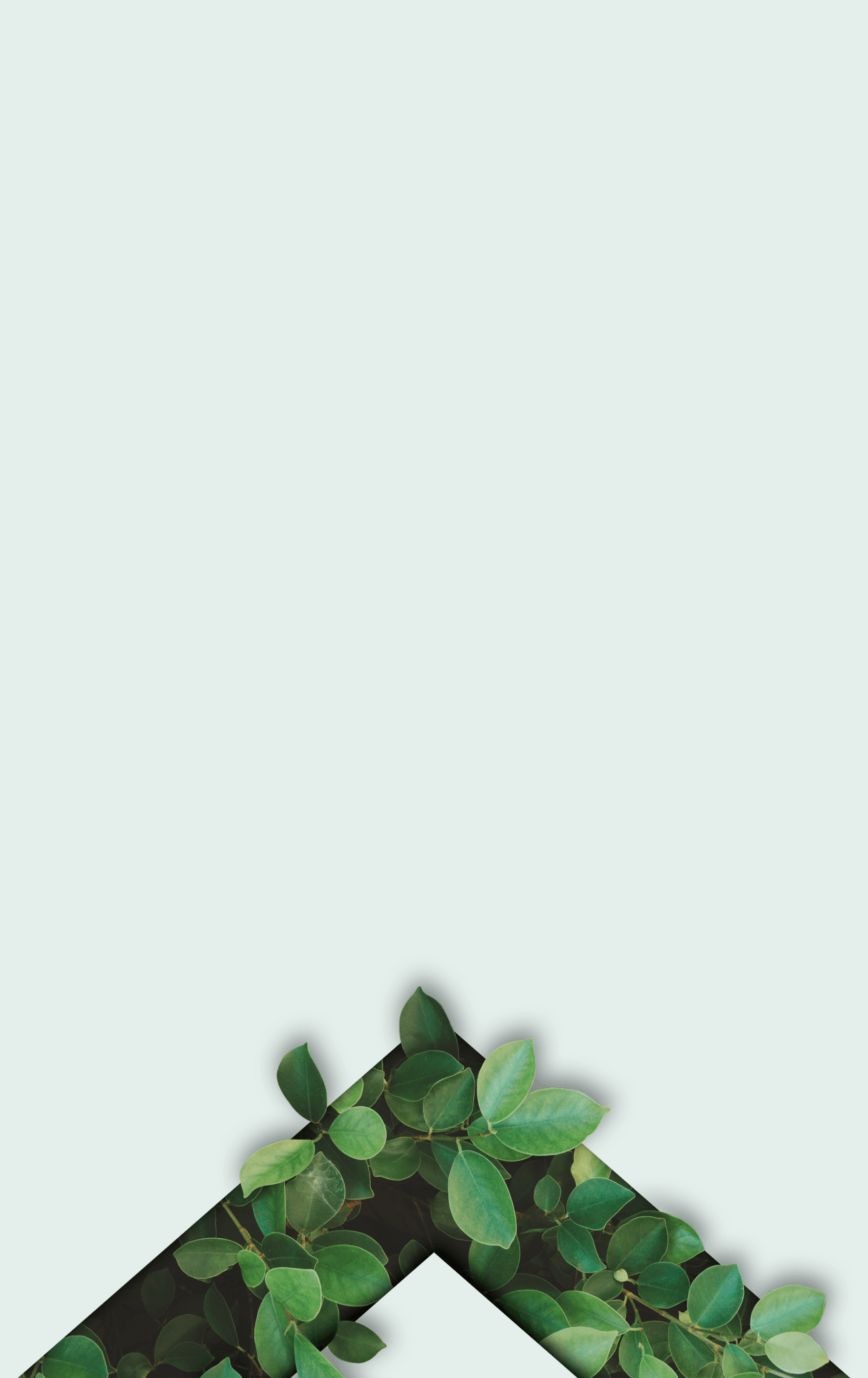 Natural green leaves background